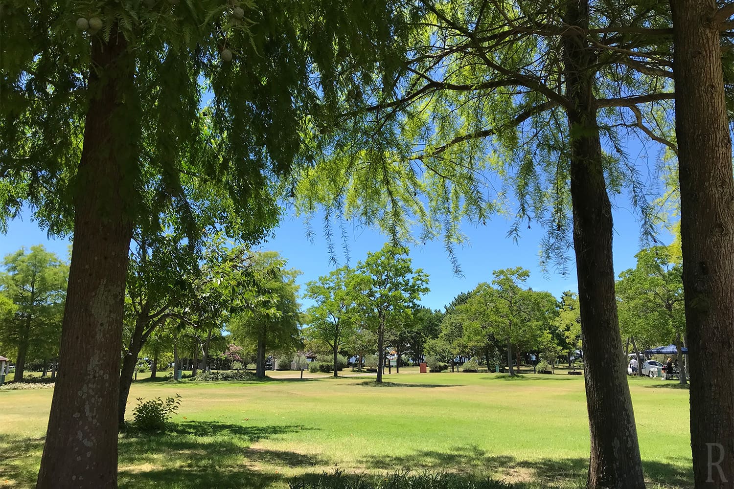 赤穂海浜公園オートキャンプ場